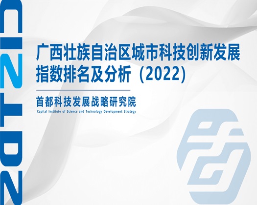 哥哥肏逼好舒服视频网站【成果发布】广西壮族自治区城市科技创新发展指数排名及分析（2022）